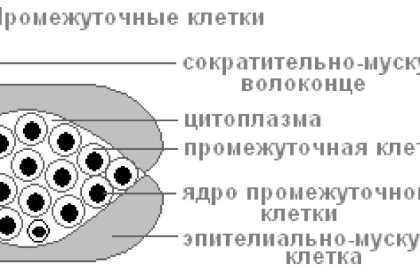 Что с кракеном сайт